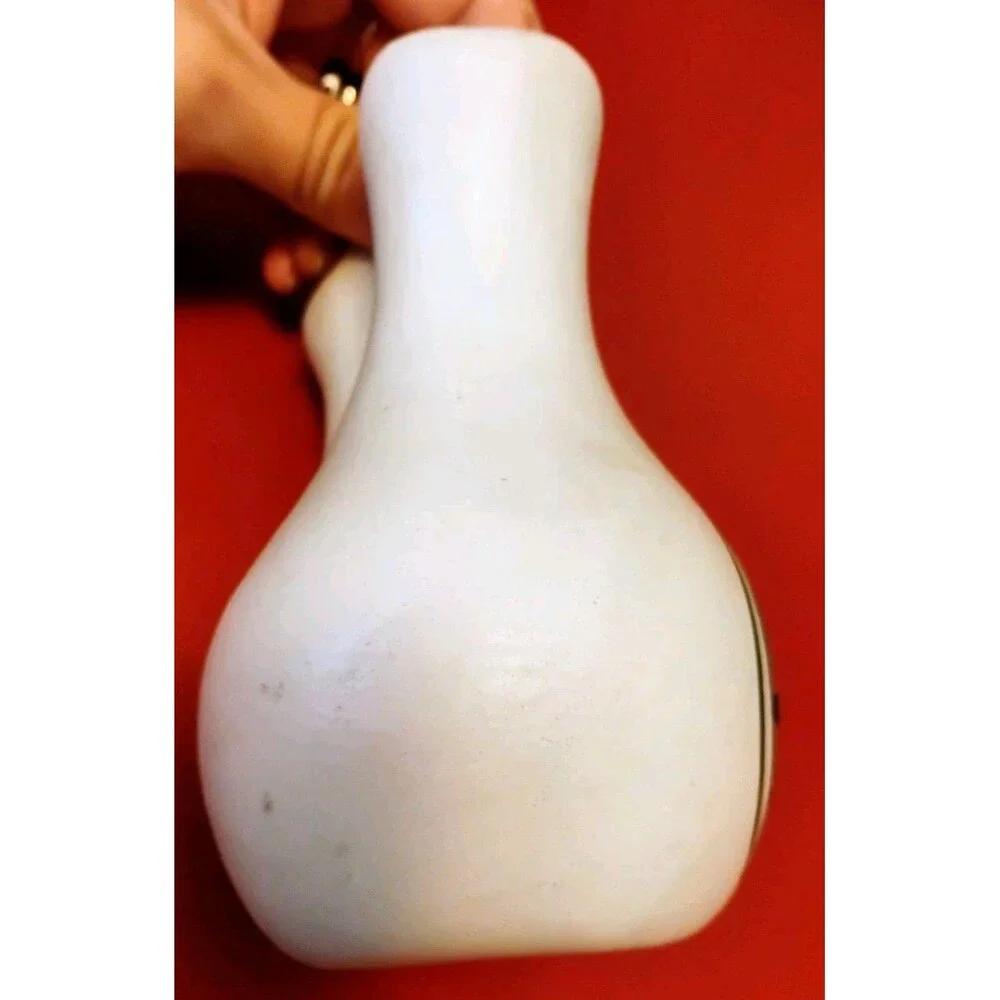 Vintage Navajo Wedding Vase Pottery – Signed Janet Diné – 1984 Hand-Painted